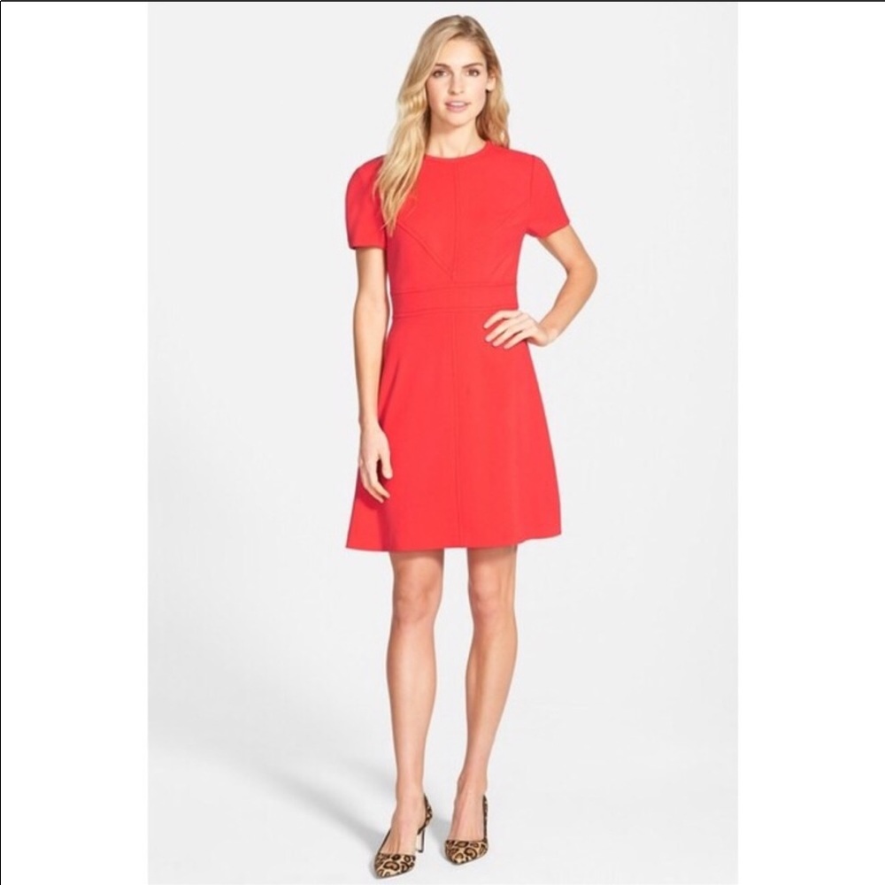 Eliza J Size 6 A-Line Seamed Sheath Dress